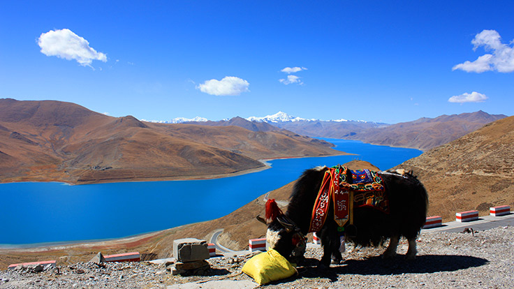 Yamdrok Lake